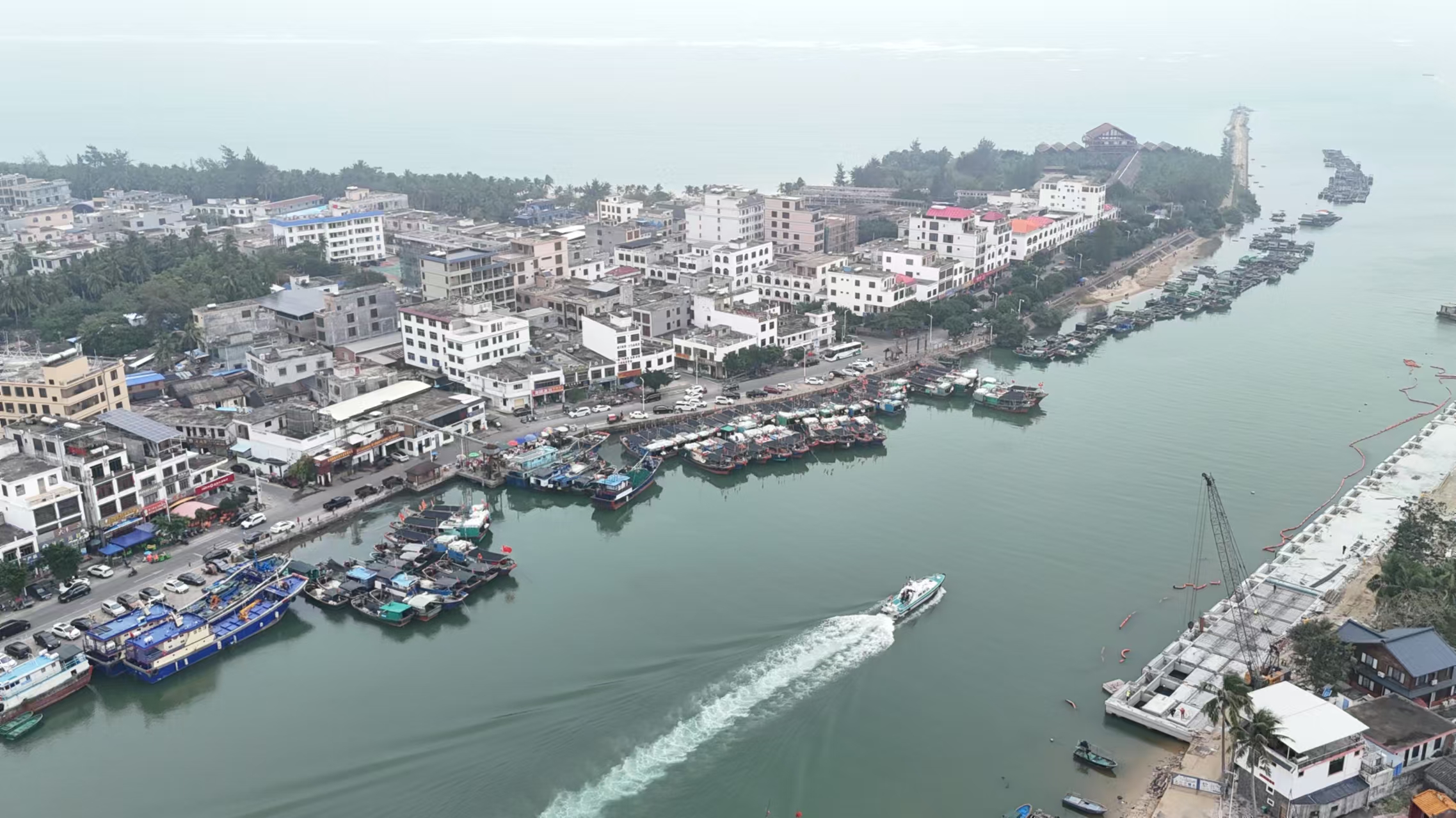 浓妆淡抹总相宜