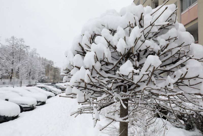 波兰华沙遭遇强降雪